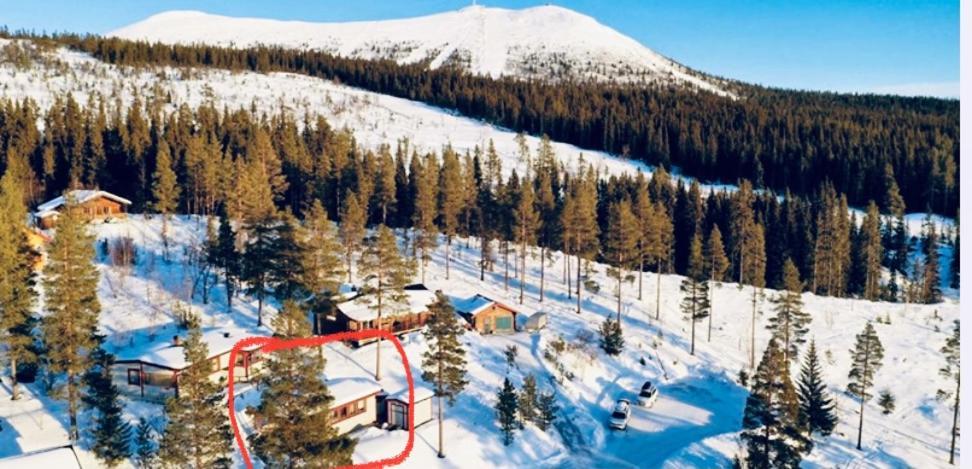 1125 Fjaellstugan Lofsdalen Exterior photo