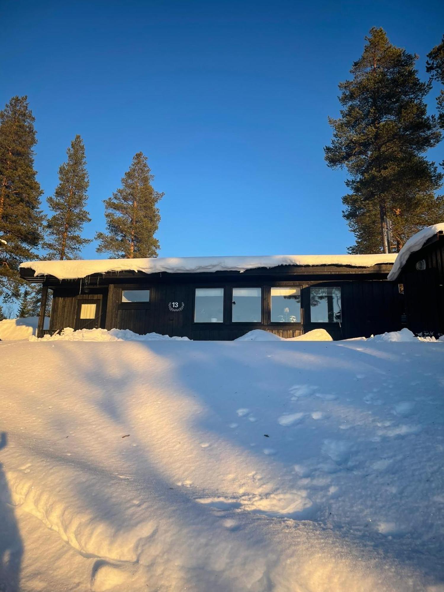 1125 Fjaellstugan Lofsdalen Exterior photo